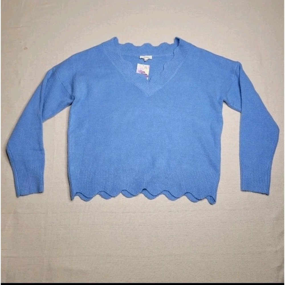NWT ee:some Women's Sweater M/L Blue V-Neck Scalloped Hem Soft Knit Pullover